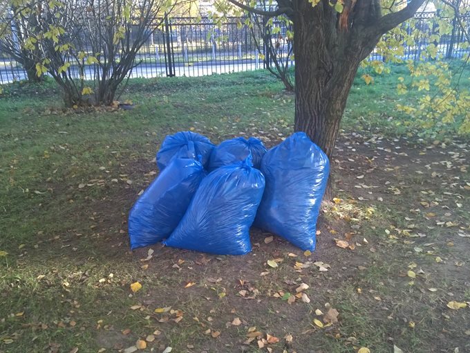 Субботник 18.10.2014