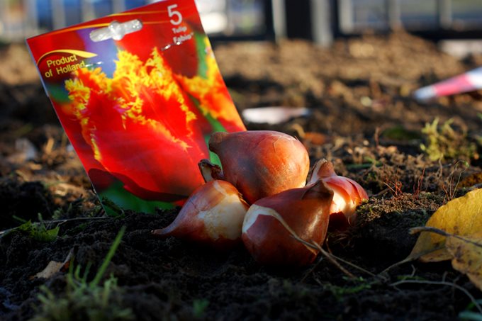 Субботник 18.10.2014