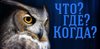 Александра Александровна в финале, ведущий Александр Друзь
