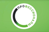 На Чемпионате «Профессионалы»