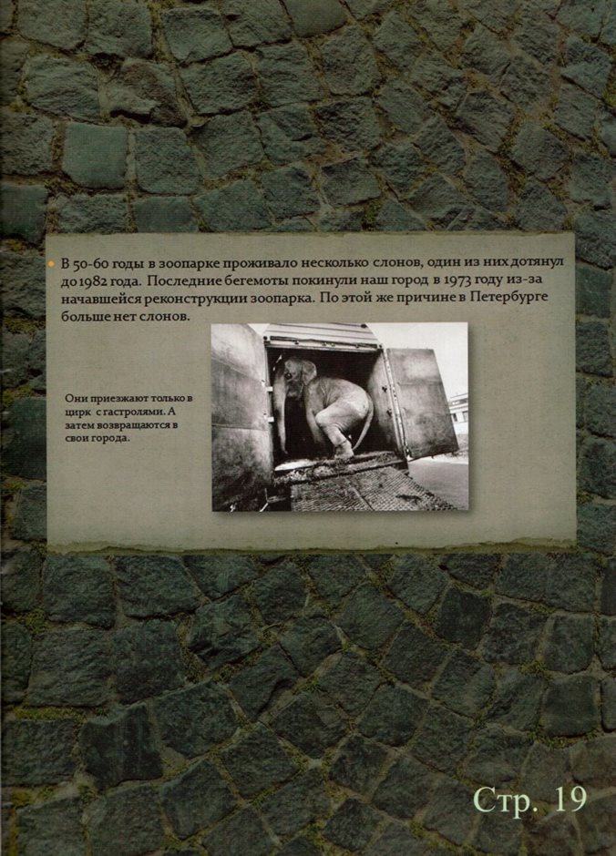 стр.19